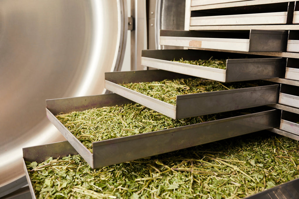 From Seed to Supplement: How we create Pure Greens – Found-Supplements